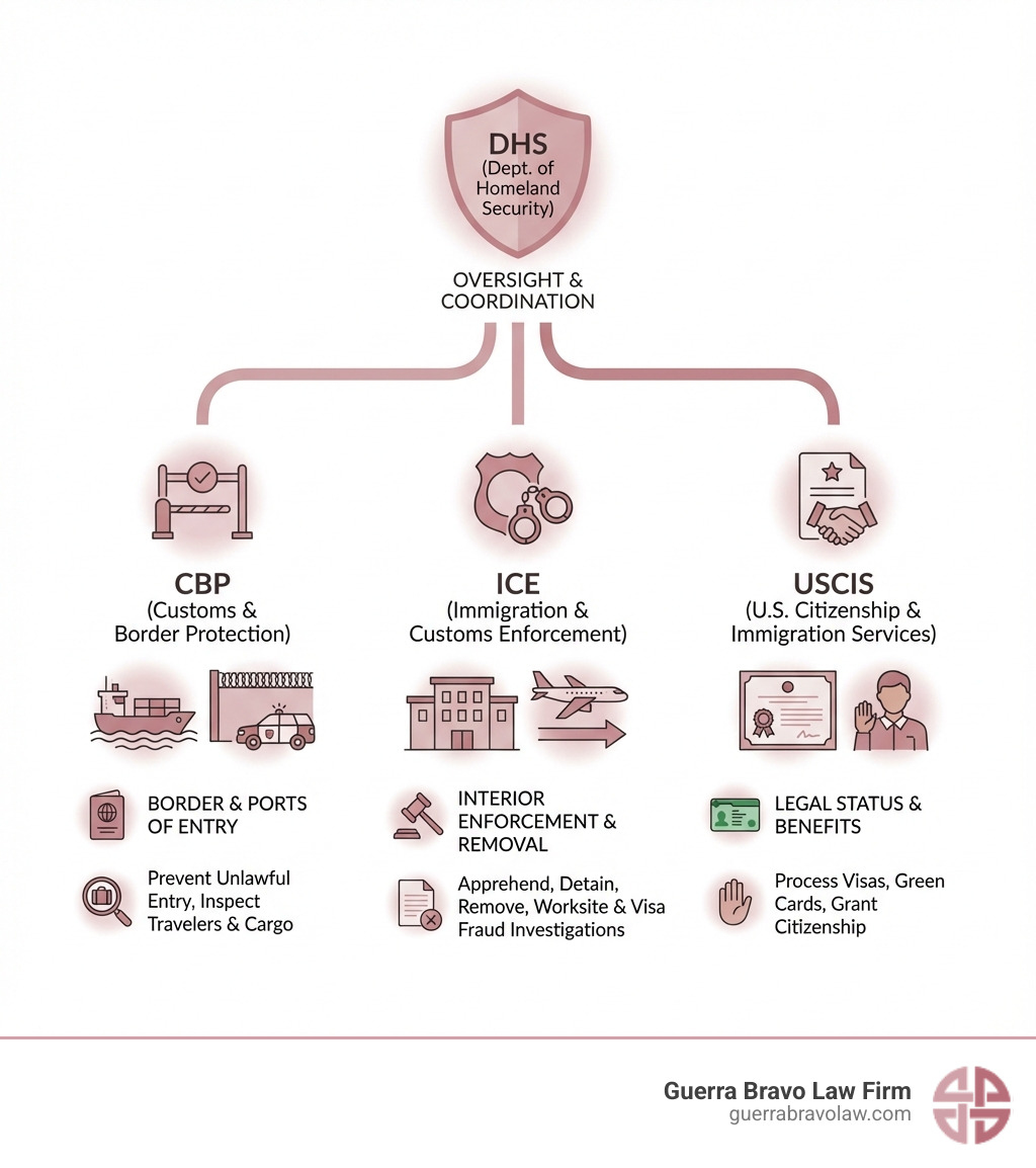 Infographic explaining the key roles of DHS, ICE, CBP, and USCIS in the U.S. immigration system. - immigration compliance and enforcement infographic Infographic explaining the key roles of DHS, ICE, CBP, and USCIS in the U.S. immigration system. - immigration compliance and enforcement infographic