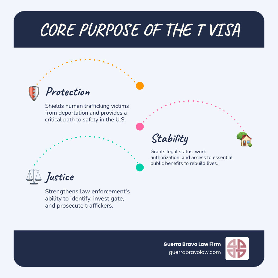 Infographic explaining the core purpose of a T Visa: Protection, Stability, and Justice - T visa lawyer infographic infographic-line-3-steps-blues-accent_colors Infographic explaining the core purpose of a T Visa: Protection, Stability, and Justice - T visa lawyer infographic infographic-line-3-steps-blues-accent_colors